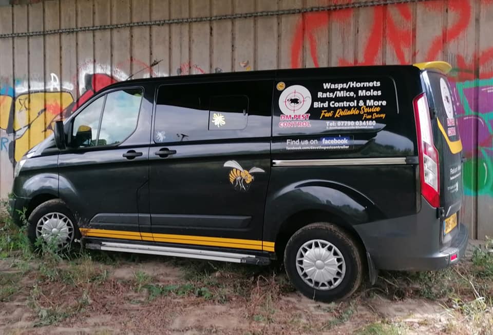 van Black Van, wasps hornets, rats, mice, bird control, moles, fast and reliable. dm pest control, pest control, rats, mice, squirels, birds. wasps, hornets, Shrewsbury, Shropshire